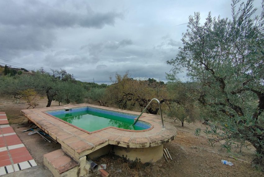 R4505308-Villa-For-Sale-Monda-Finca-1-Beds-40-Built-16