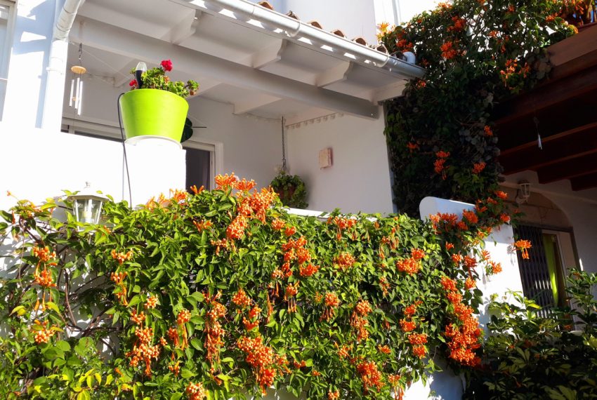 R4820872-Townhouse-For-Sale-Marbella-Terraced-3-Beds-120-Built-16