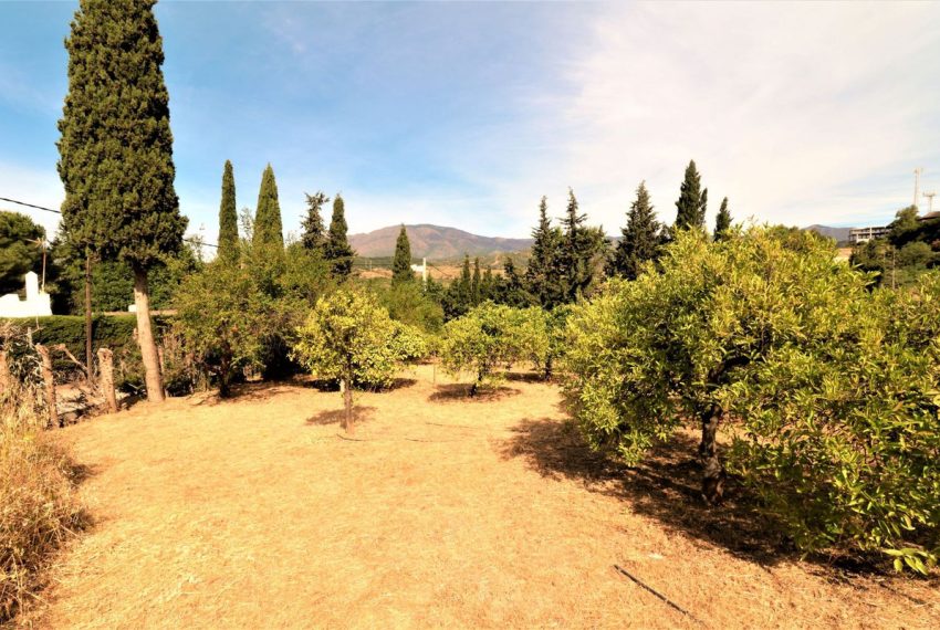 R4070251-Villa-For-Sale-El-Padron-Finca-4-Beds-200-Built-4