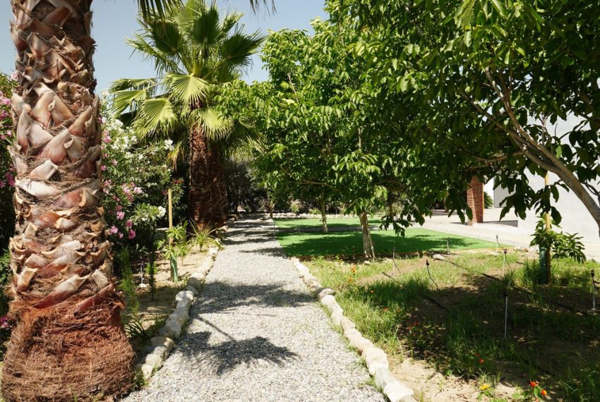 R4705588-Villa-For-Sale-Coin-Finca-6-Beds-295-Built-14