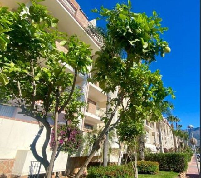 R4790404-Apartment-For-Sale-Mijas-Golf-Penthouse-2-Beds-116-Built-10