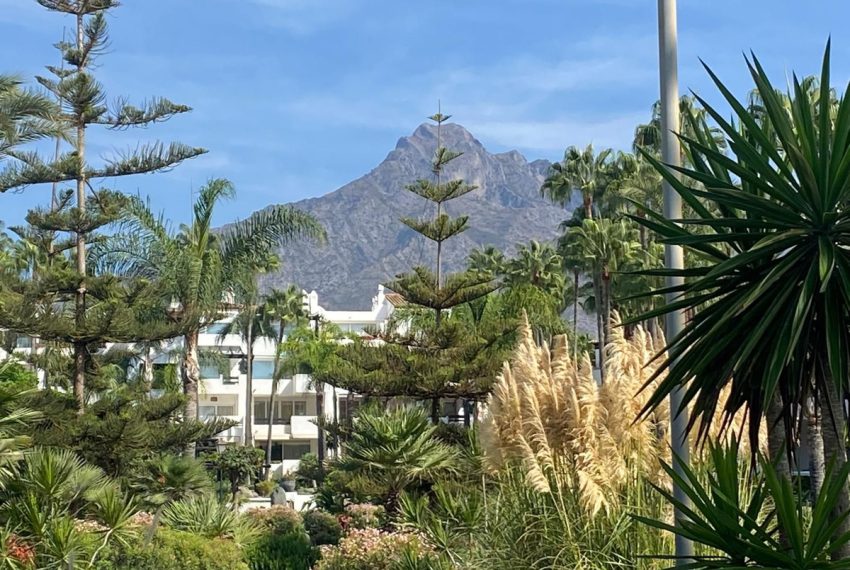 R4846462-Apartment-For-Sale-Marbella-Ground-Floor-3-Beds-180-Built-19